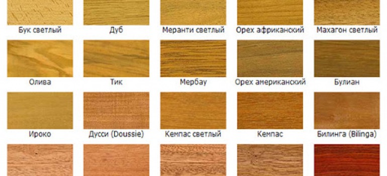 цветовые оттенки древесины