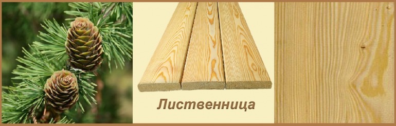 лиственница